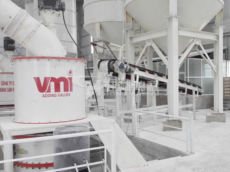 1200重鈣粉設(shè)備：HCH超細(xì)環(huán)輥磨粉機(jī) 海外客戶現(xiàn)場